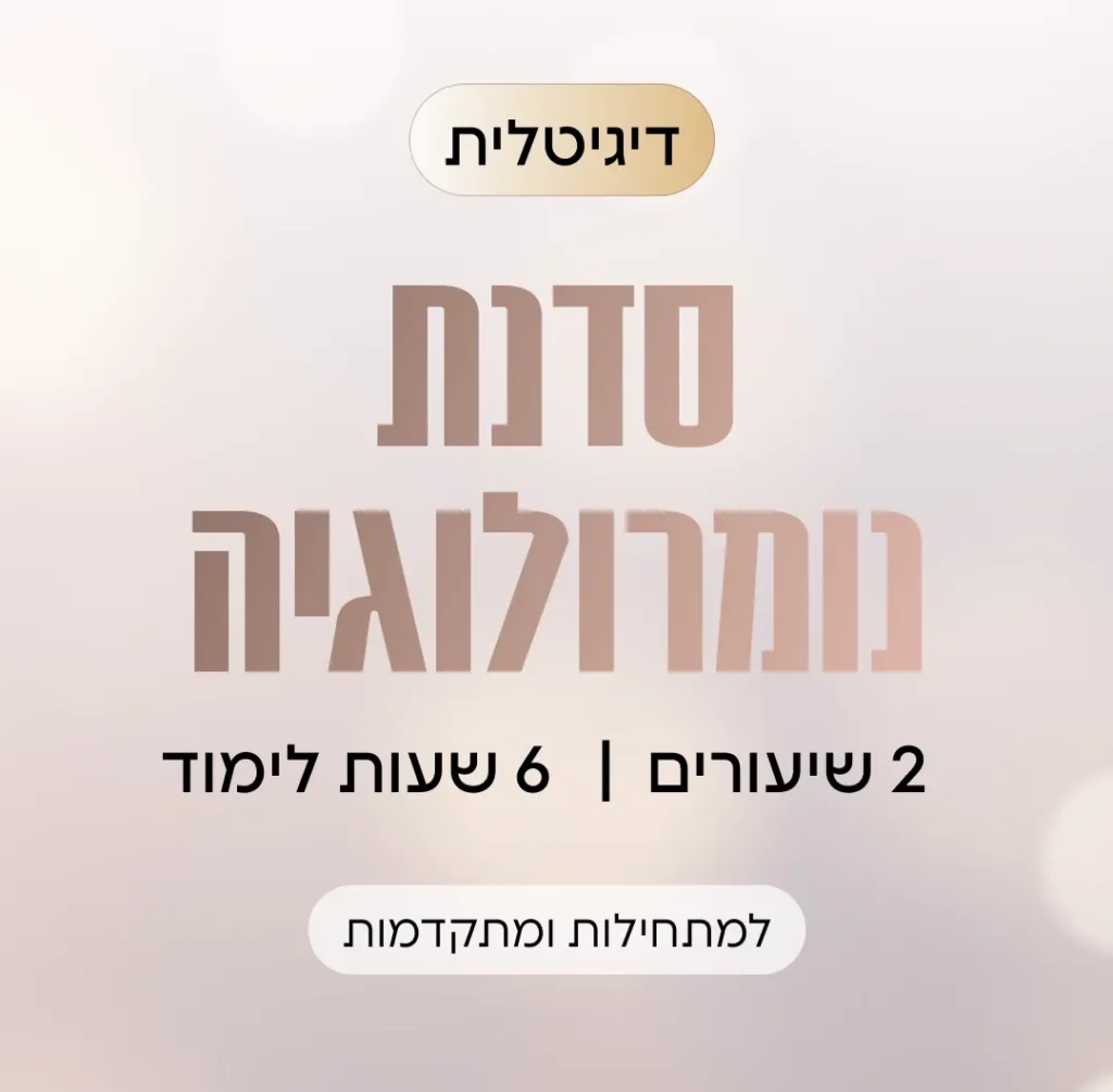 סדנה דיגיטלית