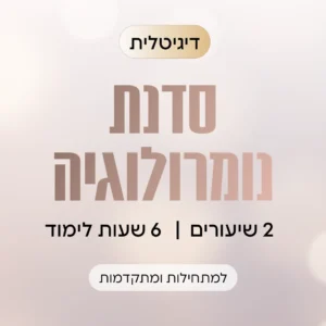 סדנה דיגיטלית