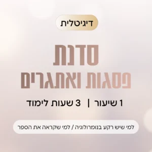 סדנת פסגות ואתגרים